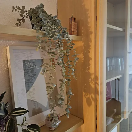 Apartamento Casa De Luz - Only 700 Meters From The & Boulevard!